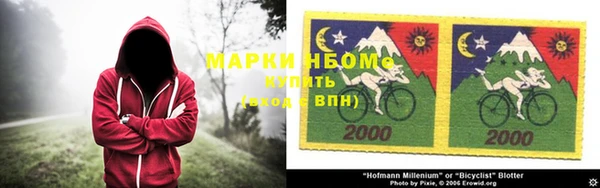 мет Алексин