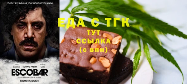 мет Алексин