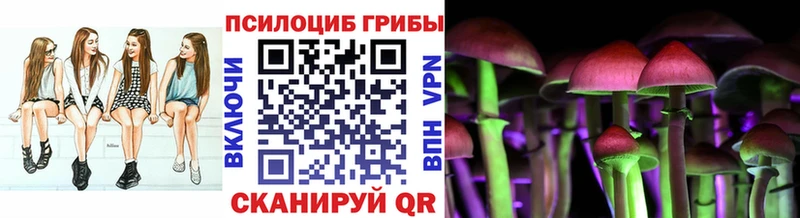 купить  сайты  Чебаркуль  Галлюциногенные грибы MAGIC MUSHROOMS 